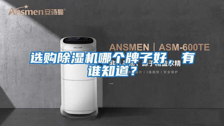選購除濕機哪個牌子好，有誰知道？