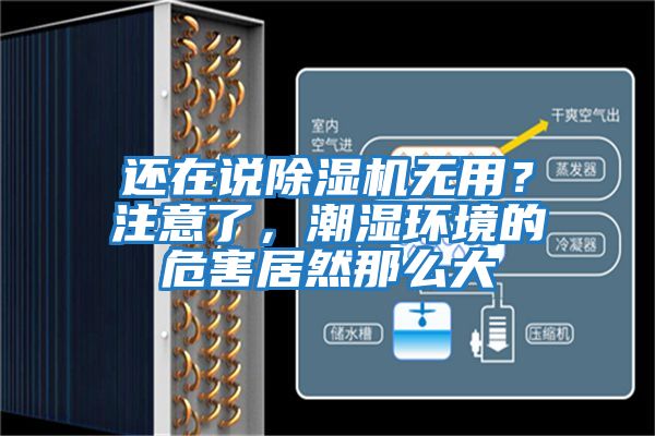 還在說(shuō)除濕機(jī)無(wú)用？注意了，潮濕環(huán)境的危害居然那么大