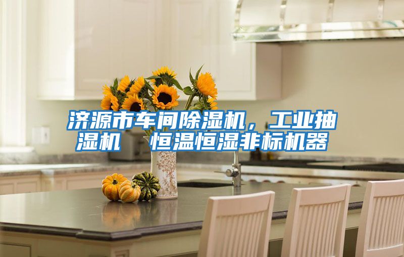 濟(jì)源市車間除濕機(jī)，工業(yè)抽濕機(jī)  恒溫恒濕非標(biāo)機(jī)器