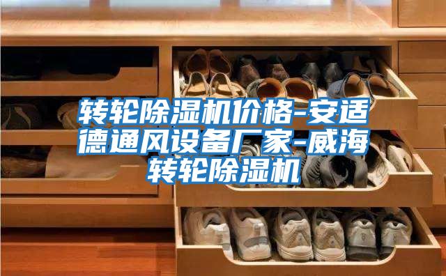 轉(zhuǎn)輪除濕機價格-安適德通風(fēng)設(shè)備廠家-威海轉(zhuǎn)輪除濕機