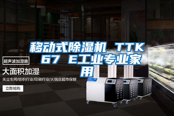 移動式除濕機 TTK 67 E工業專業家用