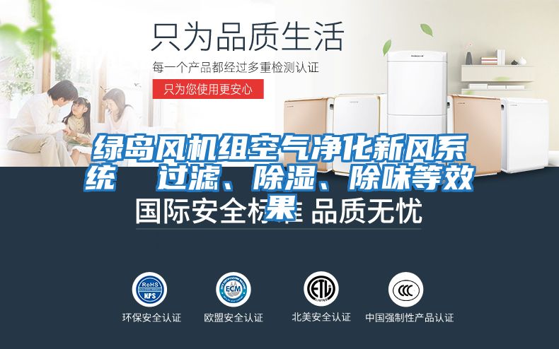 綠島風(fēng)機(jī)組空氣凈化新風(fēng)系統(tǒng)  過濾、除濕、除味等效果