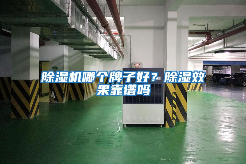 除濕機哪個牌子好?除濕效果靠譜嗎