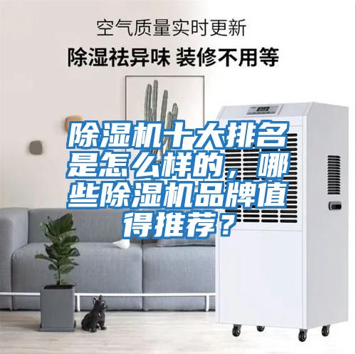 除濕機十大排名是怎么樣的，哪些除濕機品牌值得推薦？