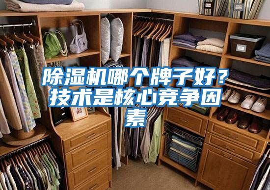 除濕機(jī)哪個(gè)牌子好?技術(shù)是核心競爭因素