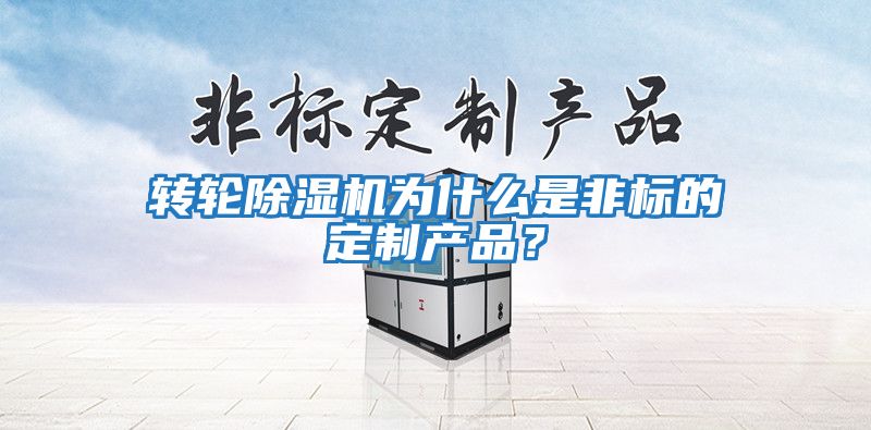轉輪除濕機為什么是非標的定制產(chǎn)品？