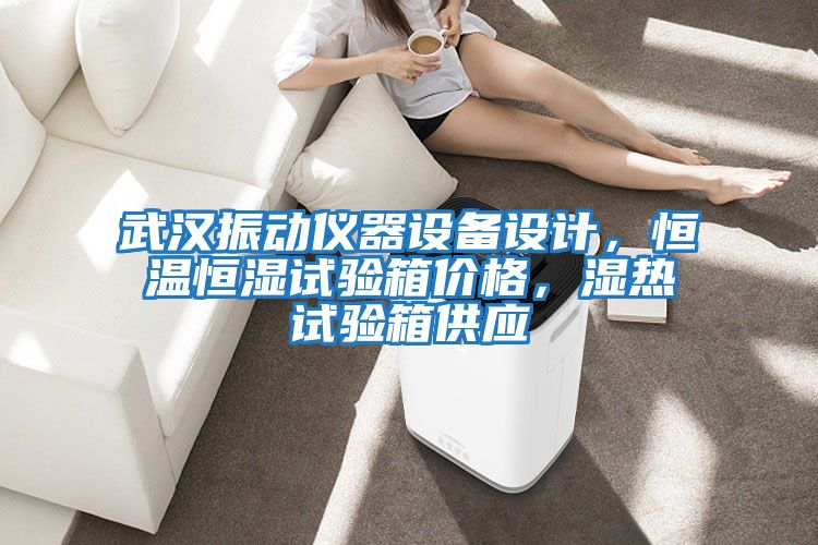 武漢振動儀器設備設計，恒溫恒濕試驗箱價格，濕熱試驗箱供應