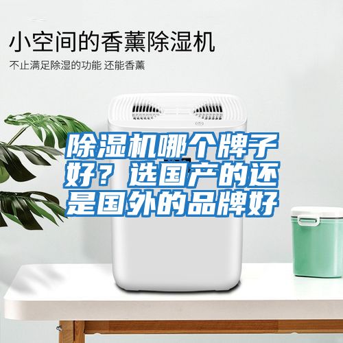 除濕機(jī)哪個牌子好？選國產(chǎn)的還是國外的品牌好