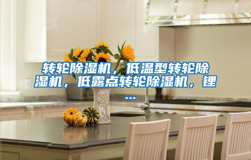 轉(zhuǎn)輪除濕機，低溫型轉(zhuǎn)輪除濕機，低露點轉(zhuǎn)輪除濕機，鋰 ...