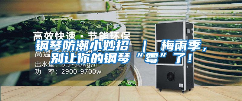 鋼琴防潮小妙招 | 梅雨季,別讓你的鋼琴“霉”了!