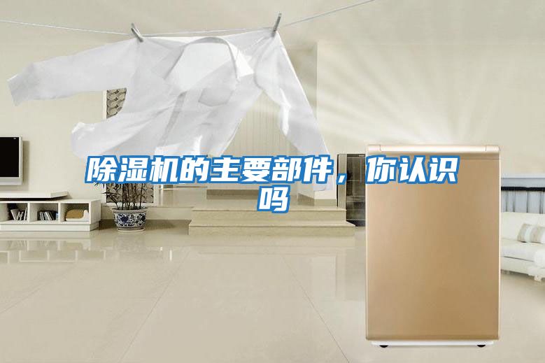 除濕機的主要部件，你認識嗎