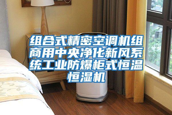組合式精密空調機組商用中央凈化新風系統工業防爆柜式恒溫恒濕機