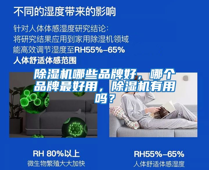 除濕機哪些品牌好，哪個品牌最好用，除濕機有用嗎？
