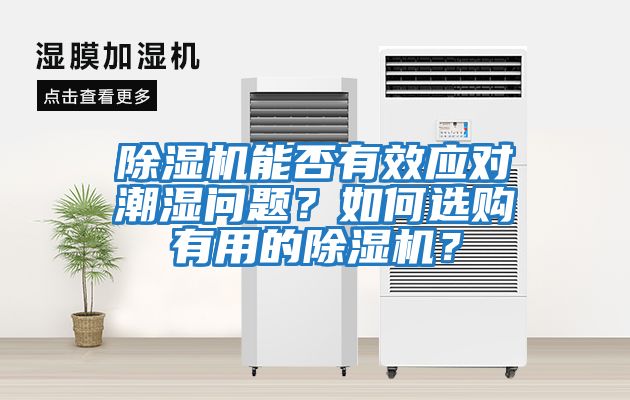 除濕機能否有效應對潮濕問題？如何選購有用的除濕機？
