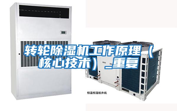 轉(zhuǎn)輪除濕機工作原理（核心技術）_重復