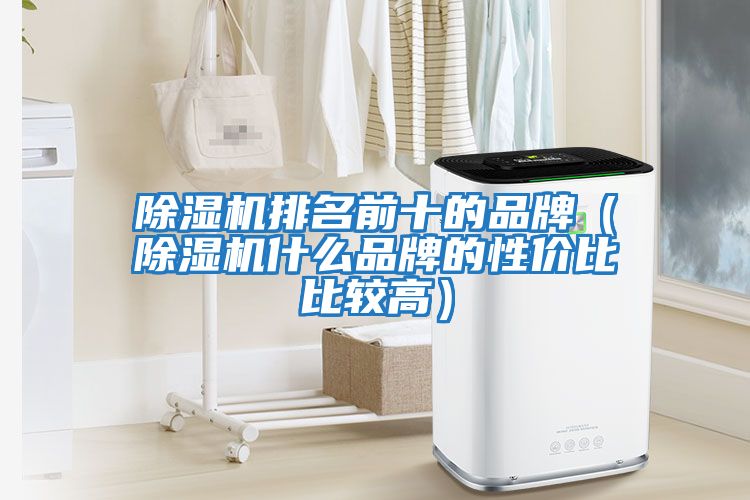 除濕機(jī)排名前十的品牌（除濕機(jī)什么品牌的性價比比較高）