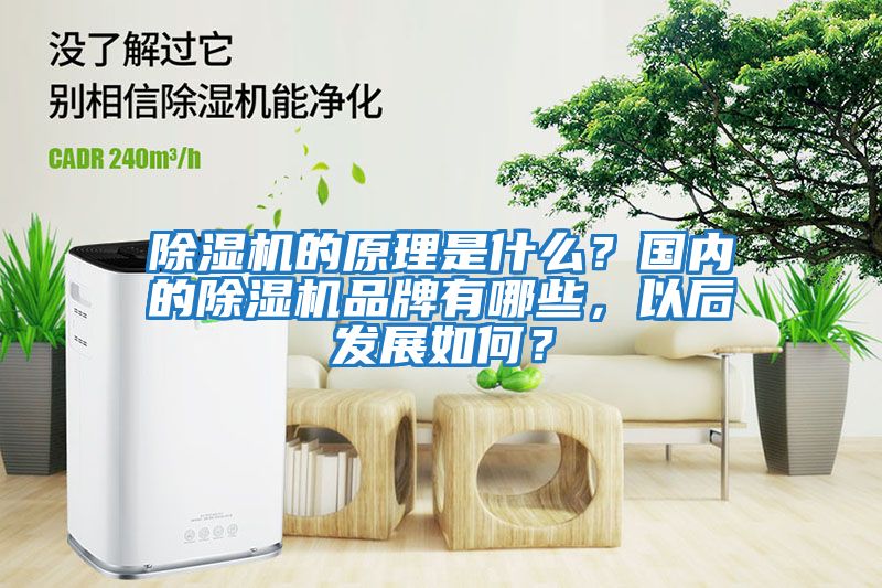 除濕機的原理是什么？國內的除濕機品牌有哪些，以后發展如何？