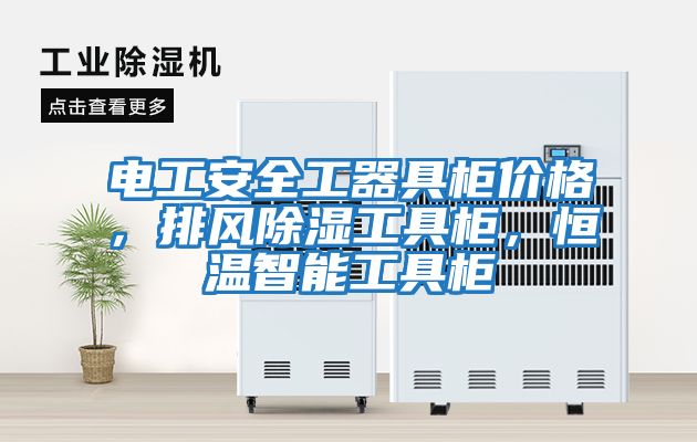 電工安全工器具柜價格，排風(fēng)除濕工具柜，恒溫智能工具柜