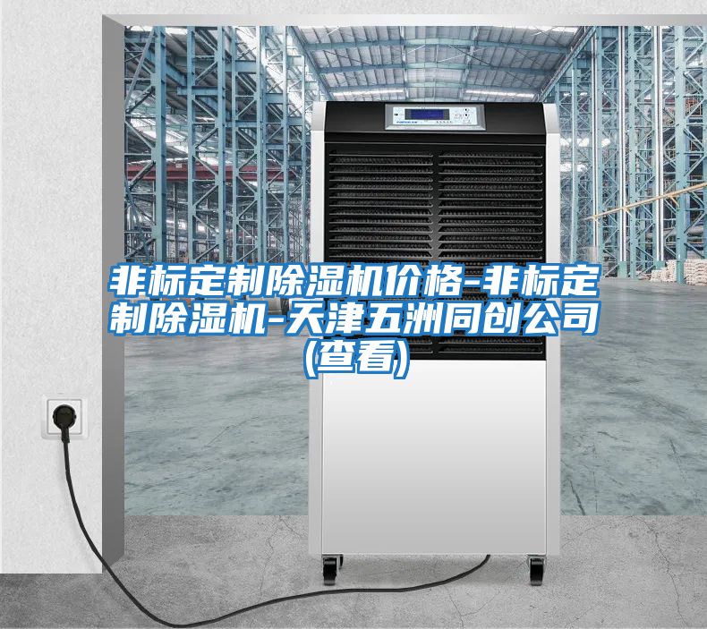 非標(biāo)定制除濕機價格-非標(biāo)定制除濕機-天津五洲同創(chuàng)公司(查看)