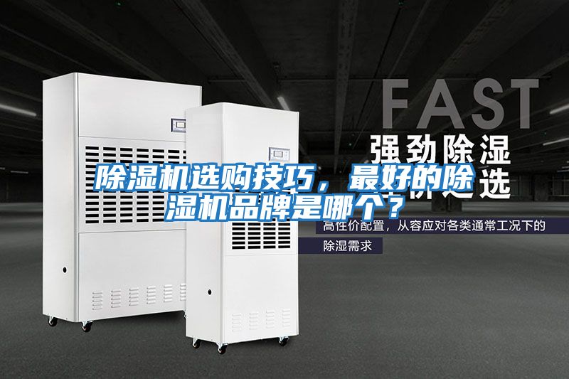 除濕機選購技巧，最好的除濕機品牌是哪個？