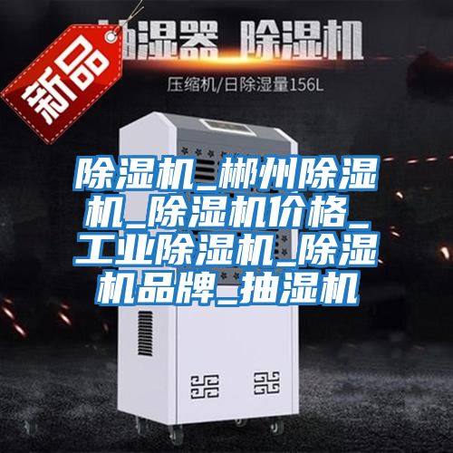 除濕機_郴州除濕機_除濕機價格_工業除濕機_除濕機品牌_抽濕機
