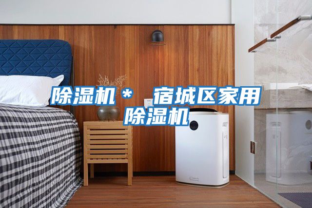 除濕機* 宿城區家用除濕機