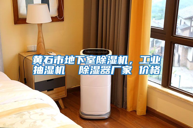 黃石市地下室除濕機，工業(yè)抽濕機  除濕器廠家 價格