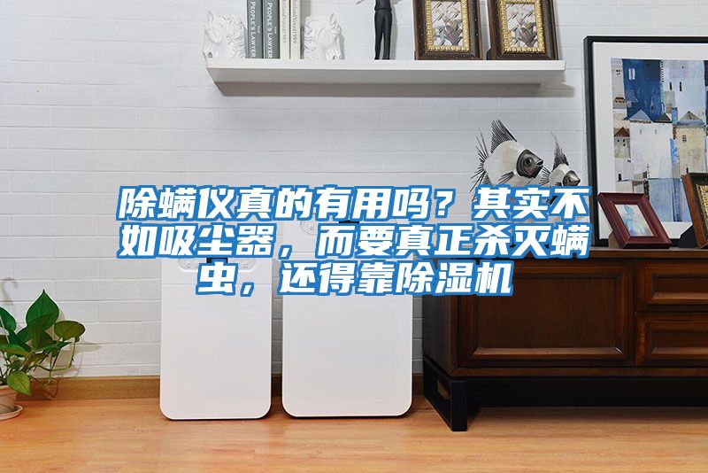 除螨儀真的有用嗎？其實(shí)不如吸塵器，而要真正殺滅螨蟲，還得靠除濕機(jī)