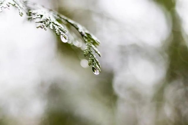 空氣濕度大帶來的危害有哪些，你知道嗎？