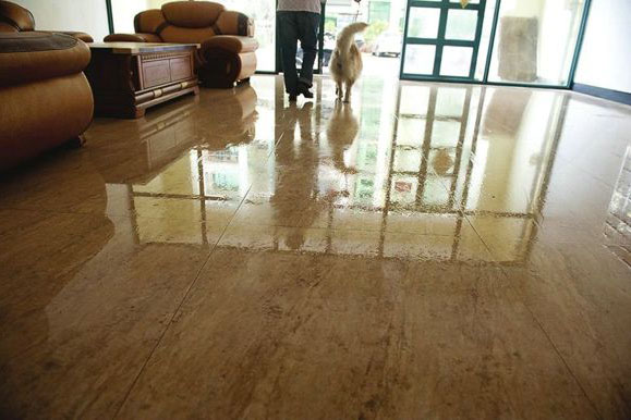 除濕機|春季除濕必須考慮的3個問題